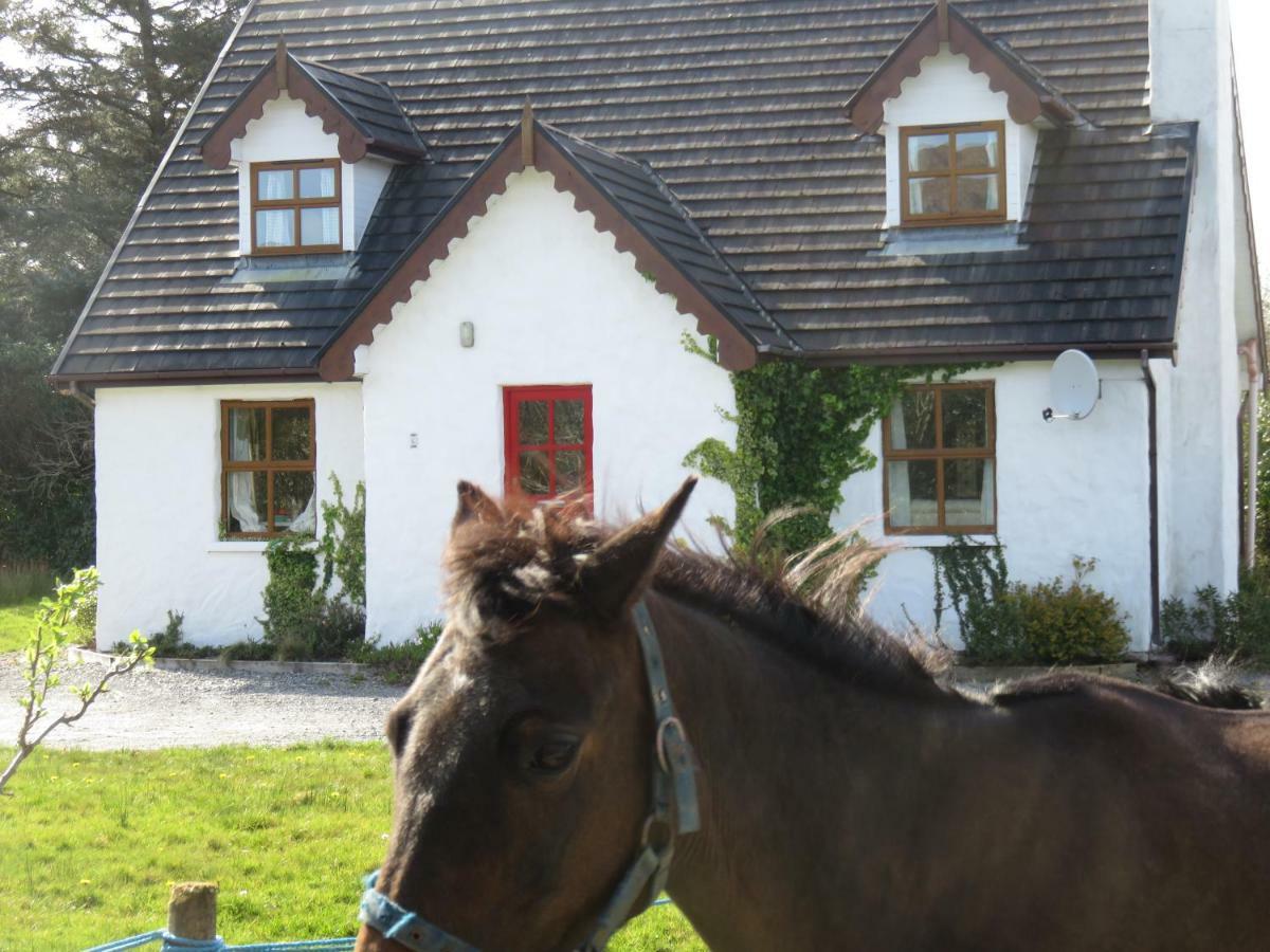 Letterfrack Mountain Farm Cottage On Farm In Village Centre 外观 照片